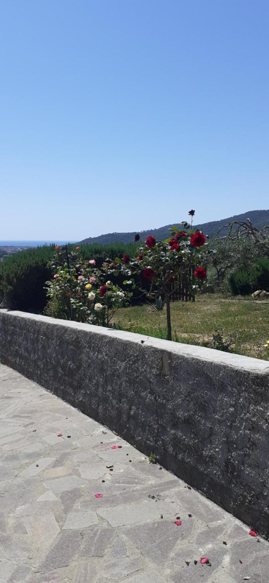 Bellavista Prile Bed & Breakfast Castiglione della Pescaia Rom bilde